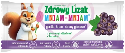 Zdrowy lizak Mniam-Mniam porzeczka (ŁEZKA)